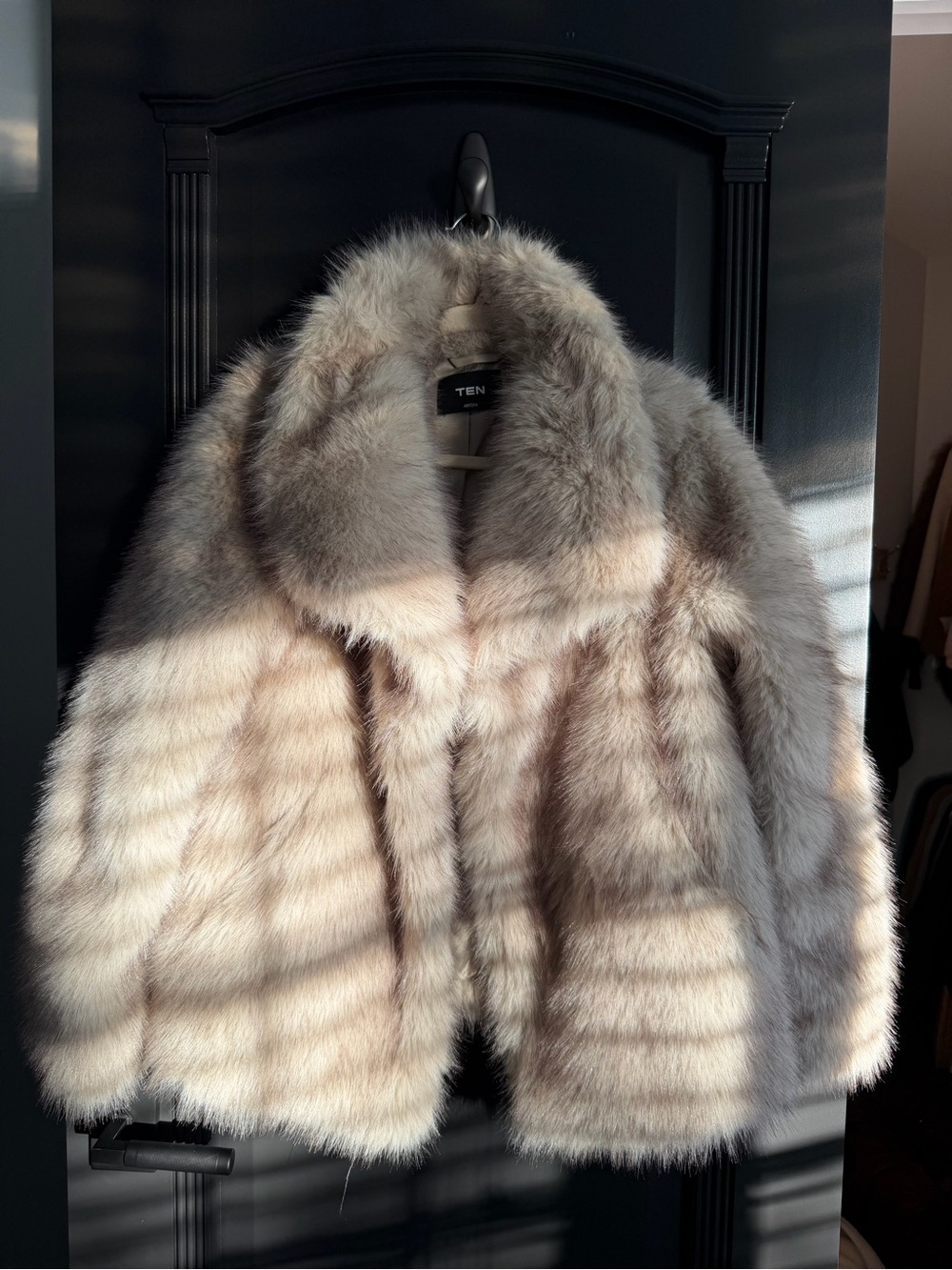 Aritzia Plush Faux Fur Cropped Jacket in Light Beige